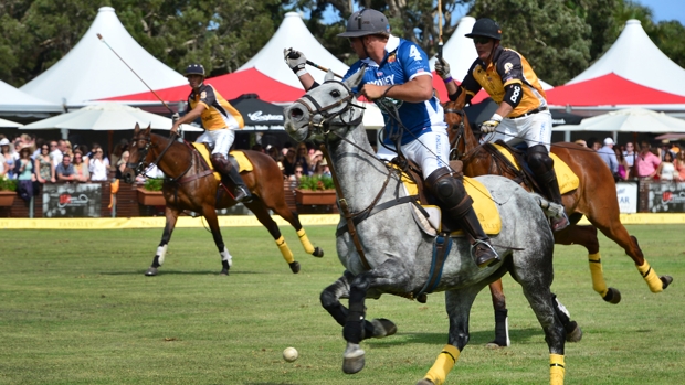 Polo in the City_land rover_field_620x349