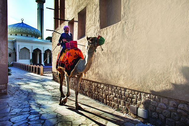 Old Dubai Emirati riding a camel