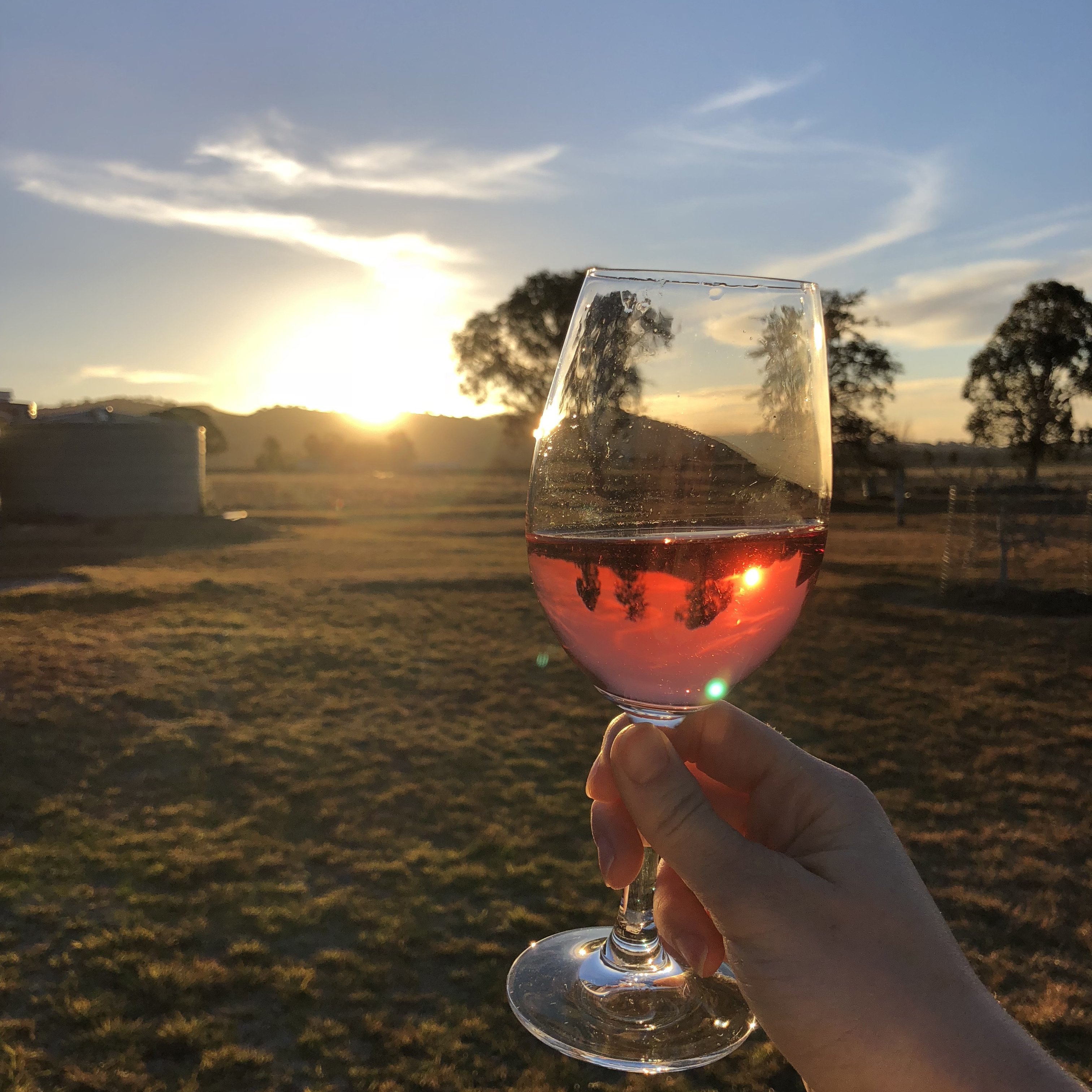 A glass of Burnbrae wine and sunset = winning