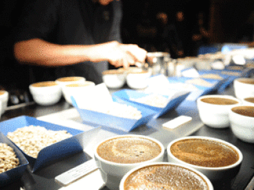 In the dark cupping room with Campos