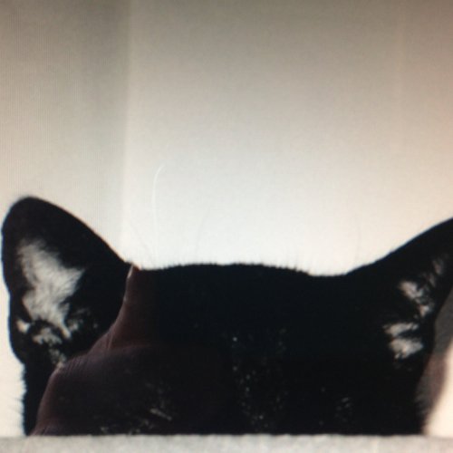 The 24 Hour Experience 3