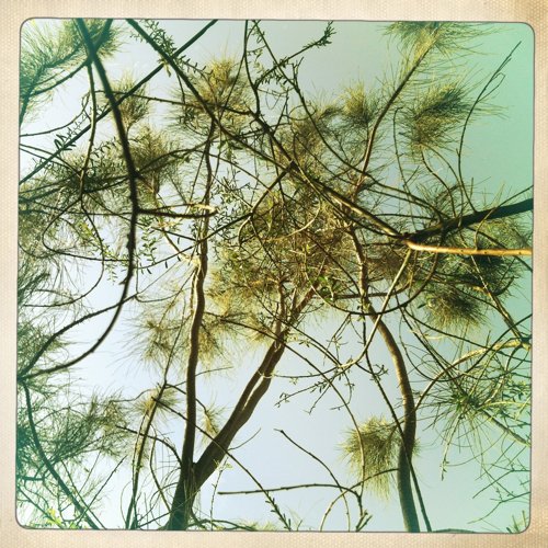 The 24 Hour Experience 4