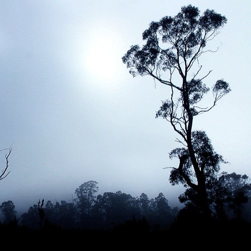 The 24 Hour Experience 6