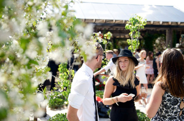 Sydney’s Best Places to Celebrate Melbourne Cup Day 2014
