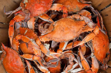 Get Cracking at The Morrison’s Crab Carnival