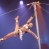 Cirque Africa Brings Back the Circus