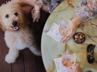 Bopp & Tone goes dog friendly as its Terrace opens for those on all ‘paws’