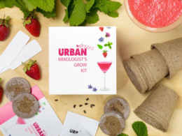 An Amazing Gift For Every Mum