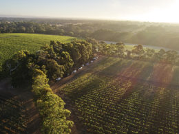 5 Reasons to put Margaret River on your list