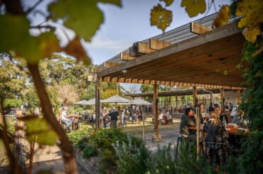 Camperdown Commons Restaurant – Sustainable, local and rollicking great value unearthed. Ooh! & the best roast chicken dish in town