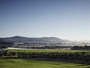 Guide to the Yarra Valley – The best wineries for lunch
