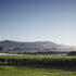Guide to the Yarra Valley – The best wineries for lunch