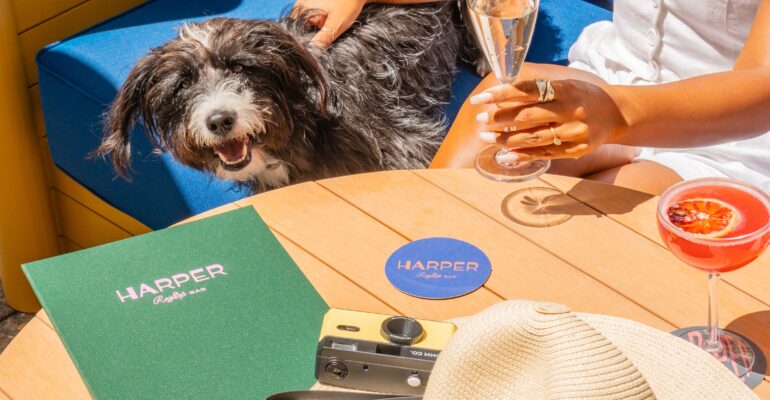 Meet Harper, Sydney’s newest, biggest, most glamourous and dog friendly  rooftop n’ pool at the Kimpton Margot Sydney Hotel